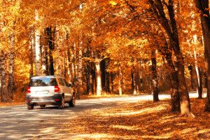 ThinkstockPhotos-520439465